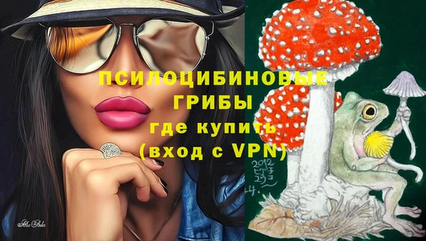 spice Белокуриха