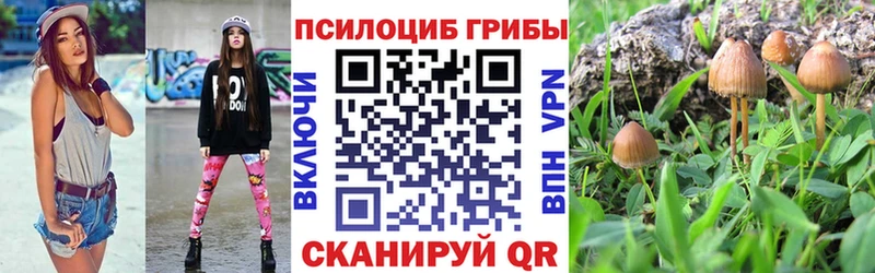Галлюциногенные грибы GOLDEN TEACHER  продажа наркотиков  Кузнецк 