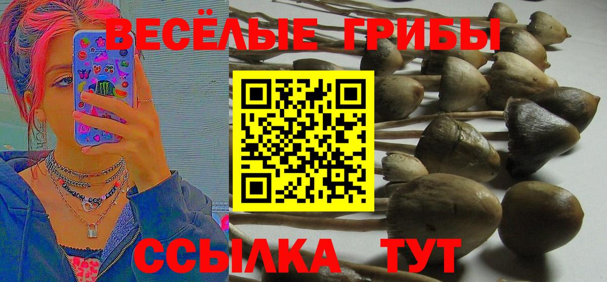 Галлюциногенные грибы прущие грибы Кузнецк